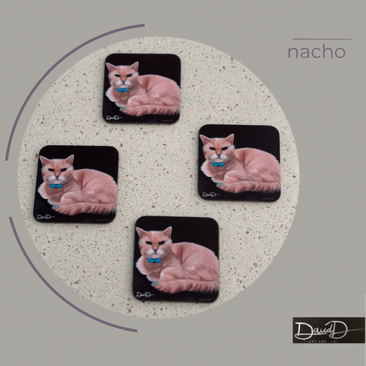 Nacho (set of 4)