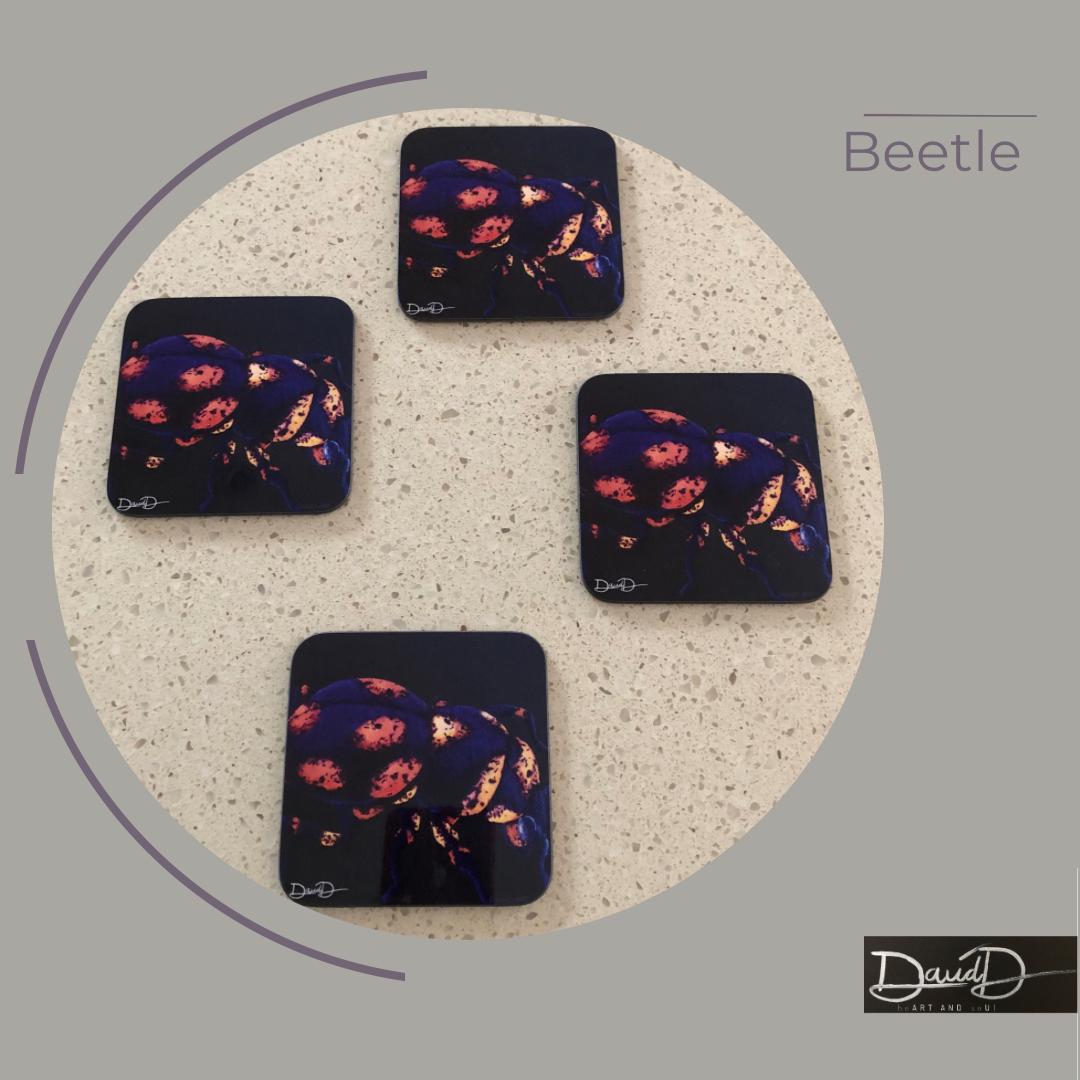 Beetle (set of 4)