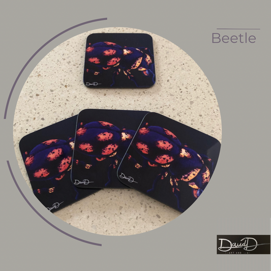 Beetle (set of 4)